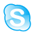 13 logo skype